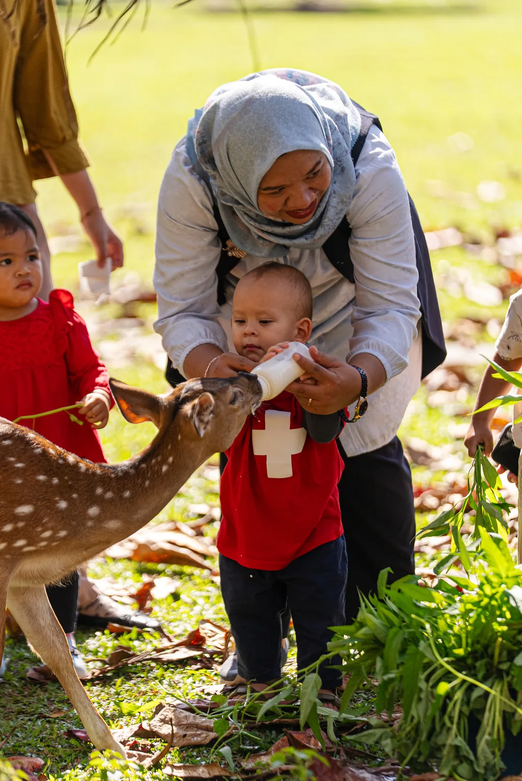 Learning close to nature