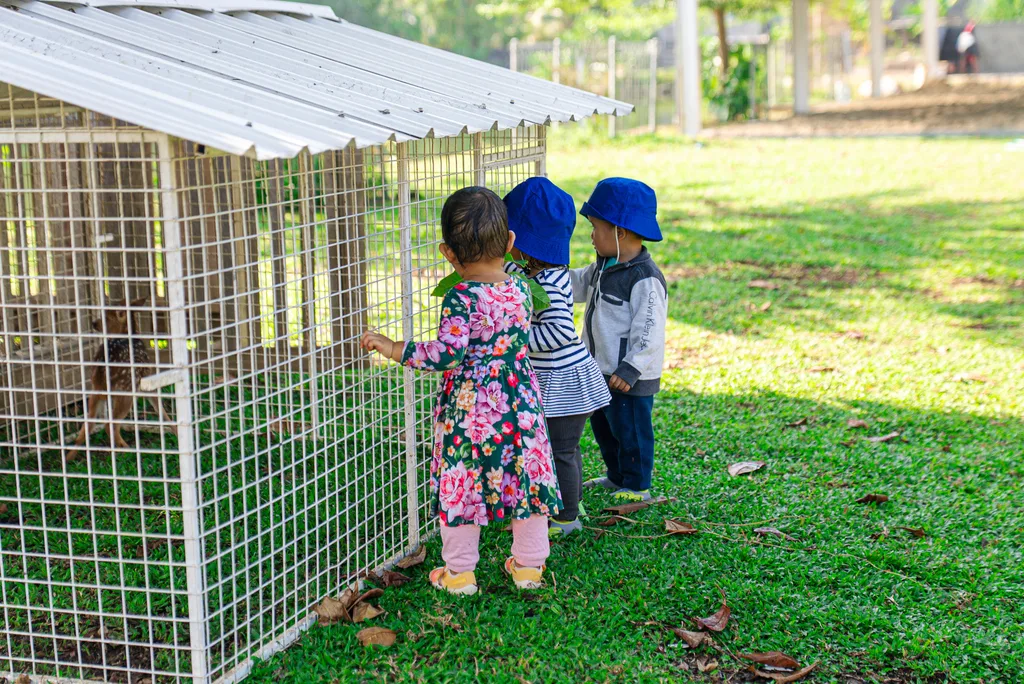 Mini zoo